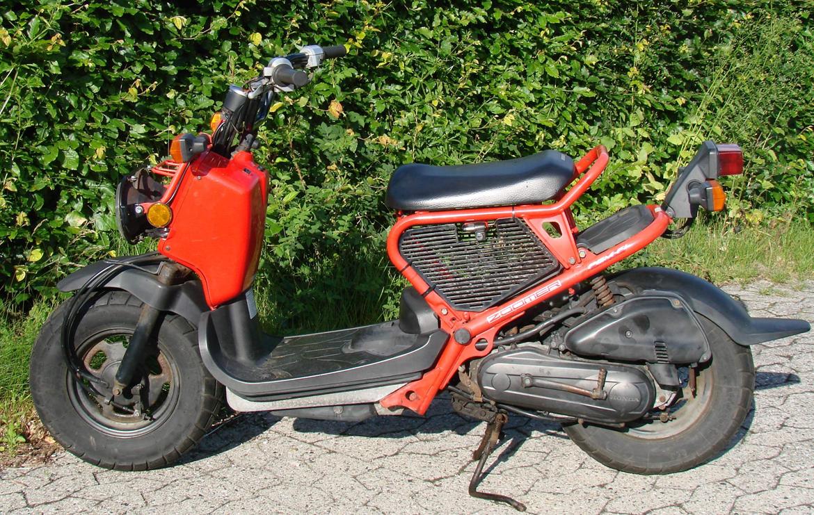 Honda Zoomer / Ruckus / NPS50 billede 1