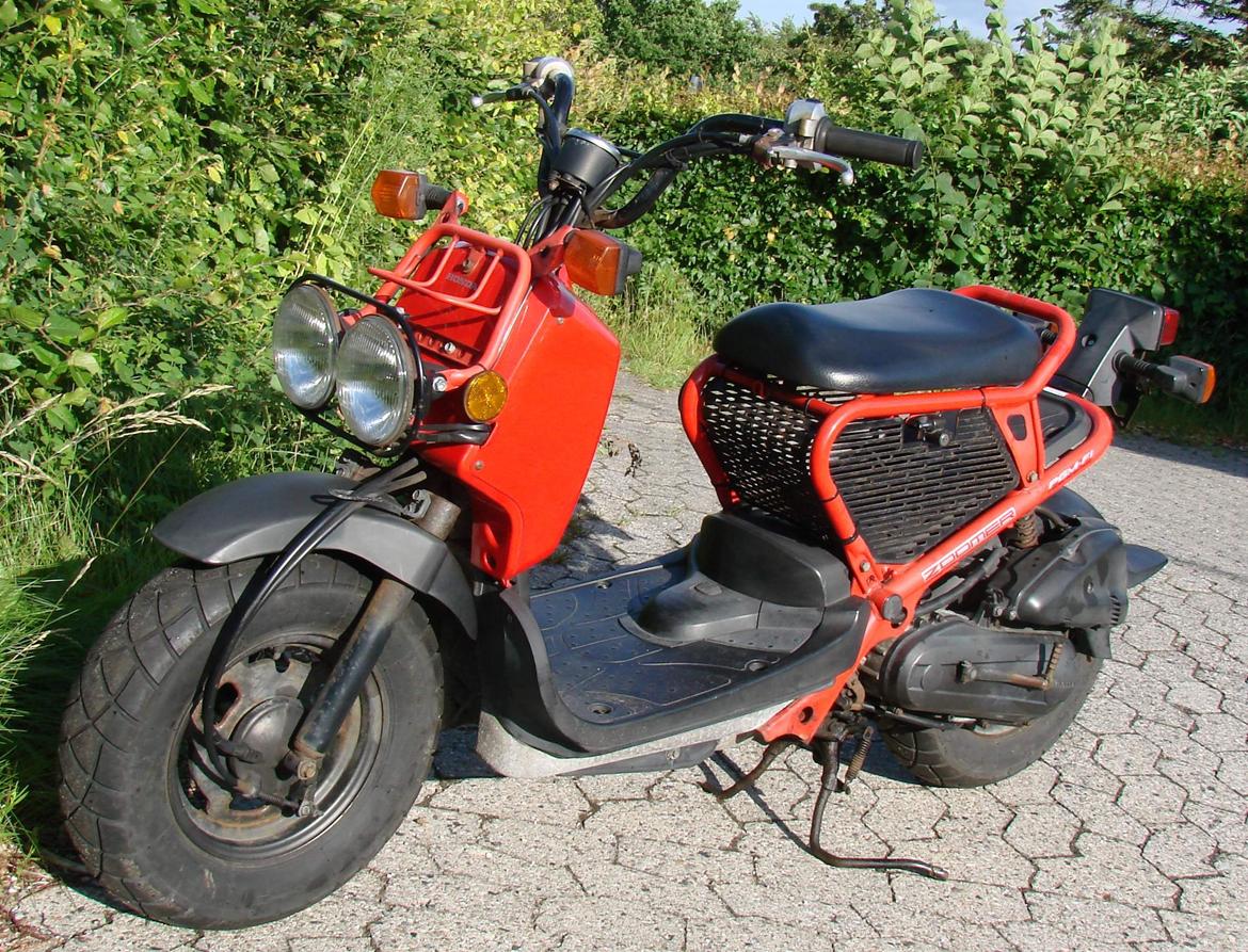 Honda Zoomer / Ruckus / NPS50 billede 2