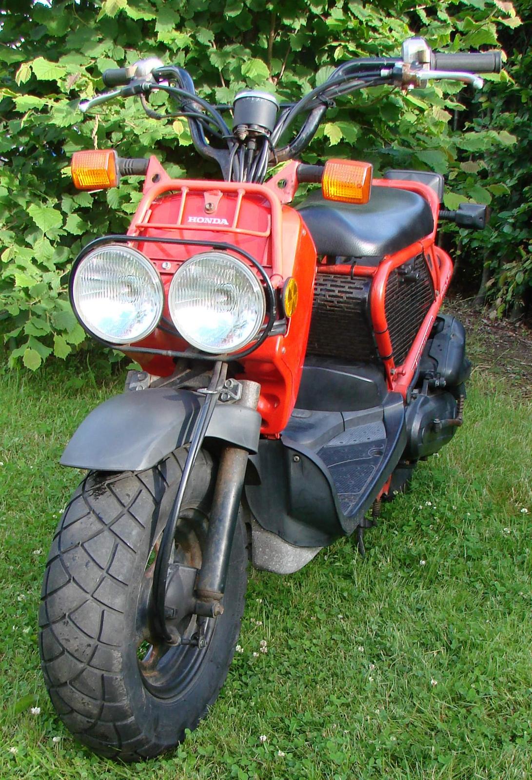 Honda Zoomer / Ruckus / NPS50 billede 3