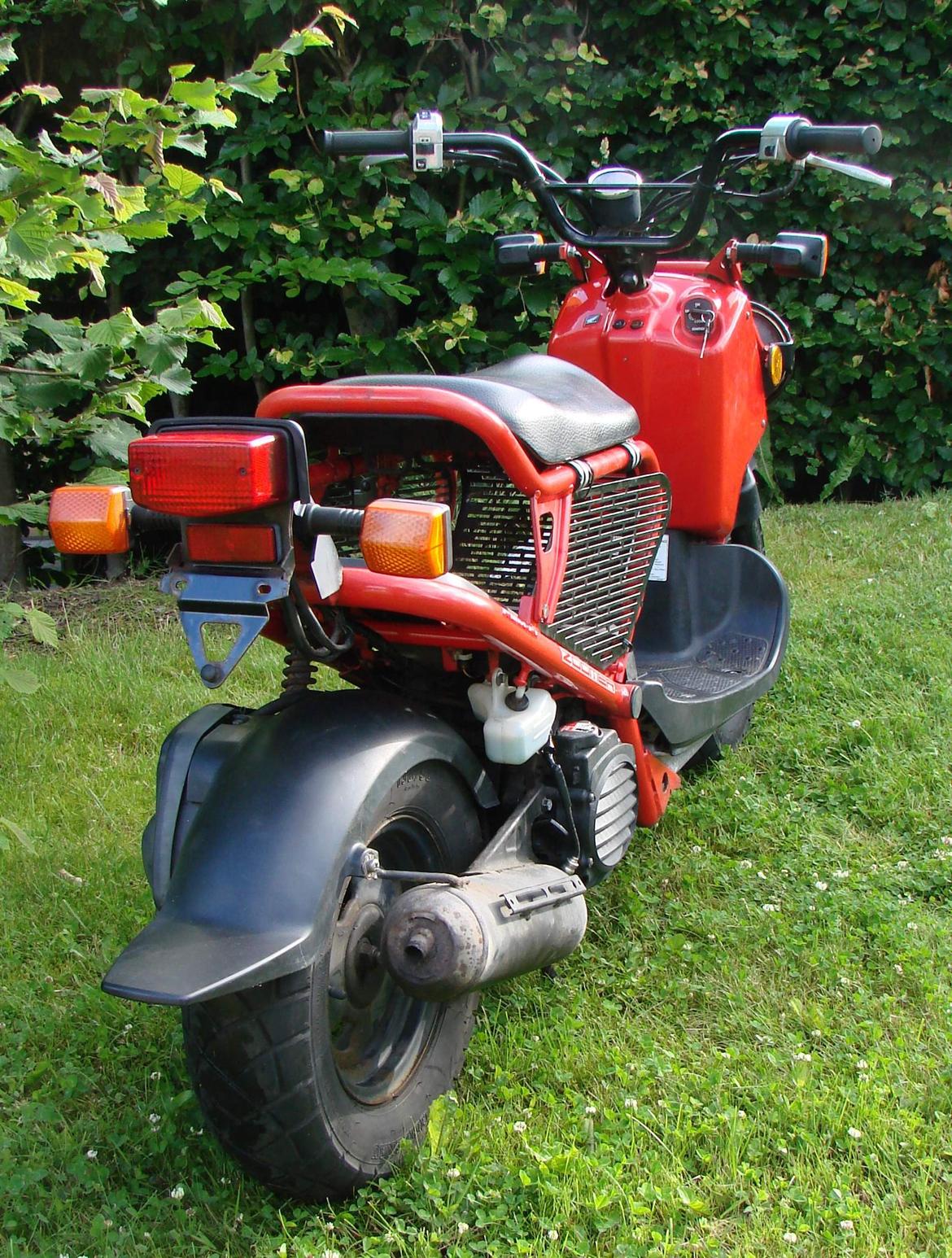 Honda Zoomer / Ruckus / NPS50 billede 9