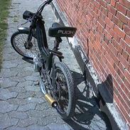 Puch maxi SOLGT