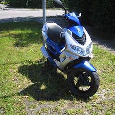 Peugeot SPEEDFIGHT 2