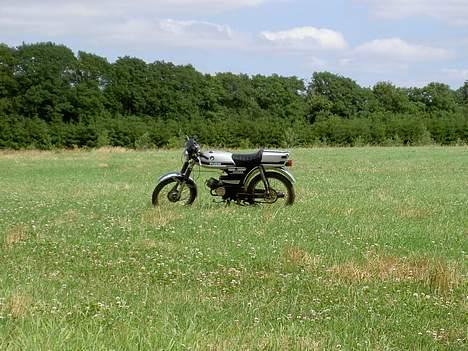 Puch Monza 2-gear billede 12