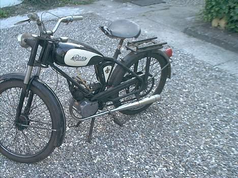 Sco minor billede 1