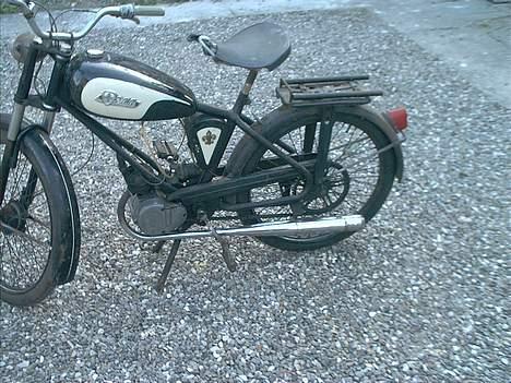 Sco minor billede 2