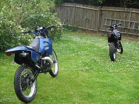 Suzuki RMX II  -=Team VSR=- billede 7