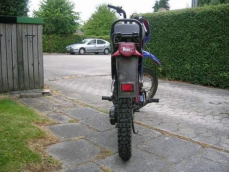 Yamaha Sting billede 4