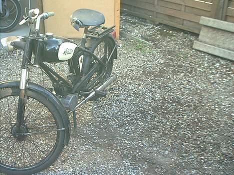 Sco minor billede 4