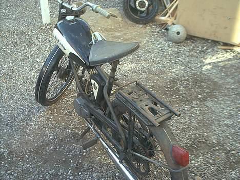 Sco minor billede 5