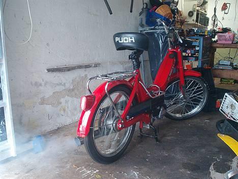 Puch Maxi P Mach 1 "Hirtshals" - Host. Host. Hak sprut.... Hun startede sku´ billede 18