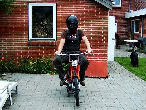 Puch Maxi ( Solgt ) billede 5