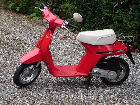 Honda melody mini NT50 billede 1