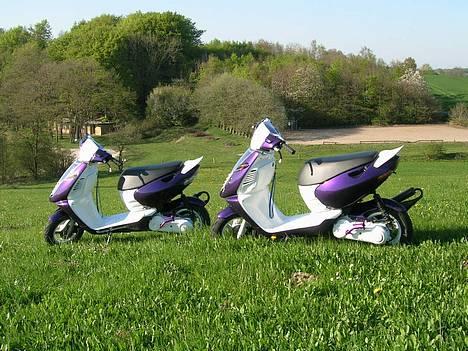 Aprilia      Sonic *2Twins* SOLGT - Her har vi dem igen (min t.h.) billede 5