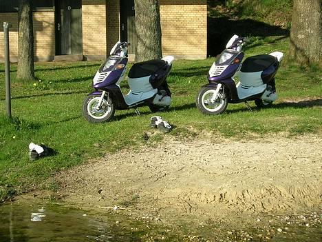 Aprilia      Sonic *2Twins* SOLGT - min t.h. billede 6