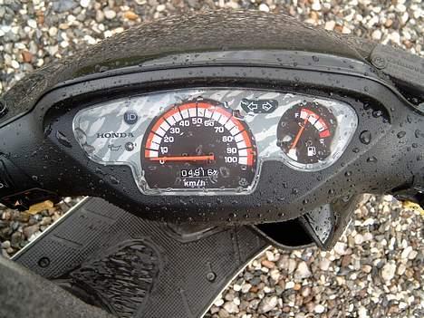 Honda SFX billede 10