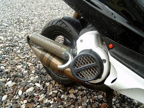 Honda SFX billede 13