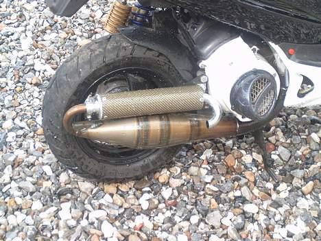 Honda SFX billede 17