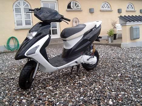 Honda SFX billede 19