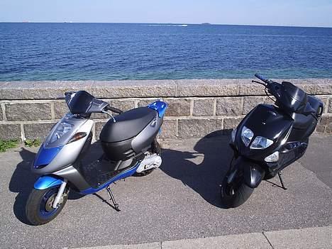 PGO Dr. Big (solgt)  - Min kammerat Nicolai B´s Sonic og min Dr. Big ved vandet på Strandvejen billede 19