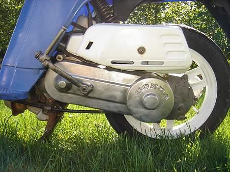 Honda MELODY MINI - poleret billede 6