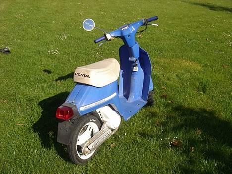 Honda MELODY MINI billede 8