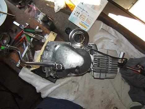 Puch Thisted´s Polini Maxi billede 3