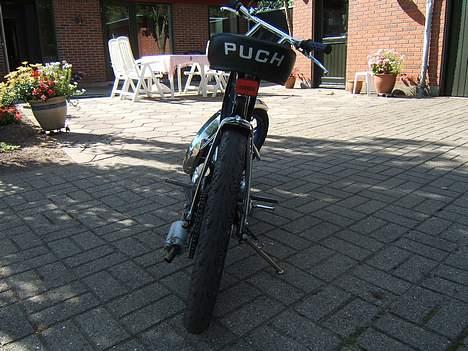 Puch Thisted´s Polini Maxi billede 6