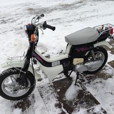 Suzuki CR50