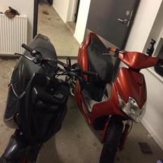 PGO Hot 50 The Custom Bitch