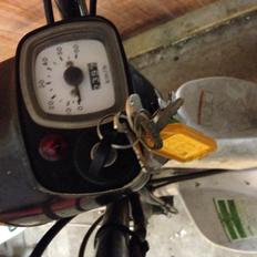 Suzuki FZ 50 - Juana.