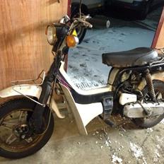 Suzuki FZ 50 - Juana.