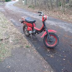 Suzuki Fz 50