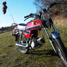 Suzuki DM50 - Samurai "Ræven"