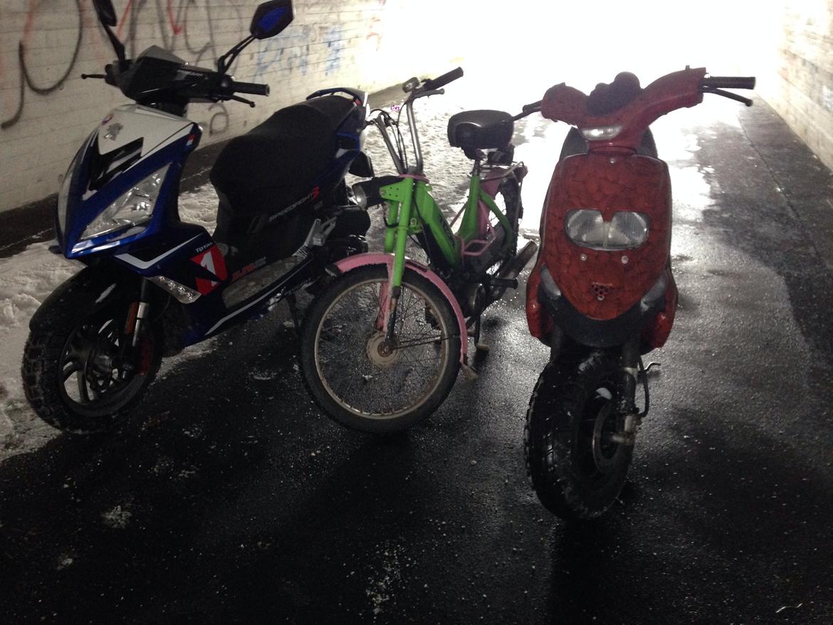 Gilera Stalker billede 7