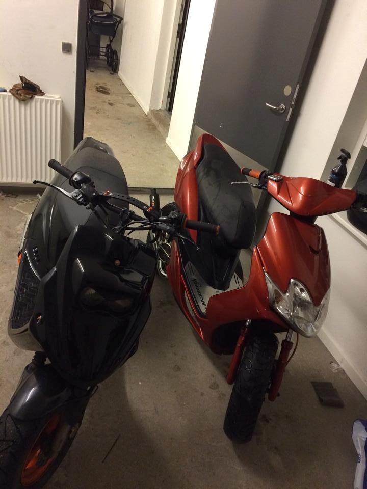 PGO Hot 50 The Custom Bitch billede 3