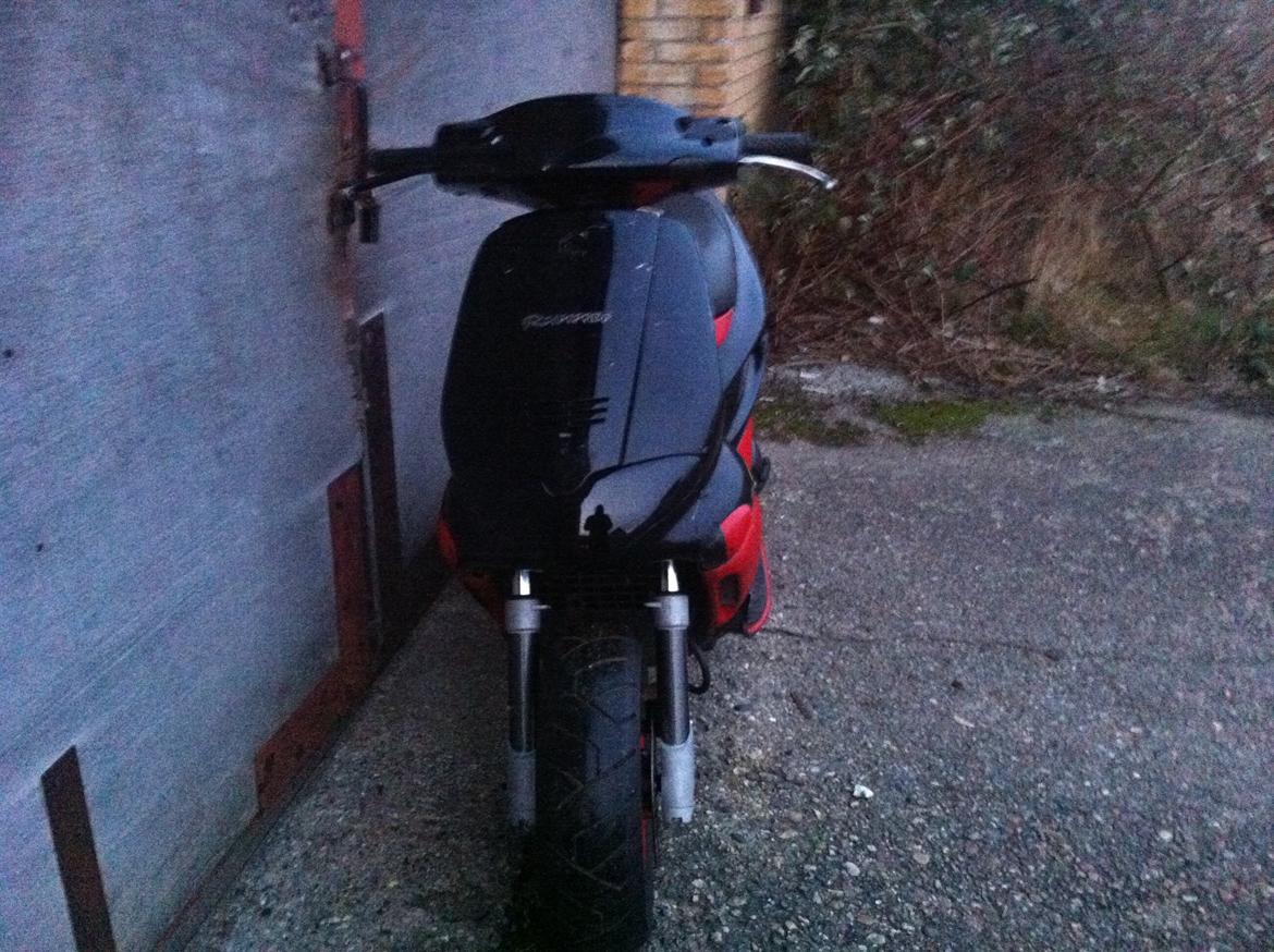 Gilera Runner Lc Dd billede 3