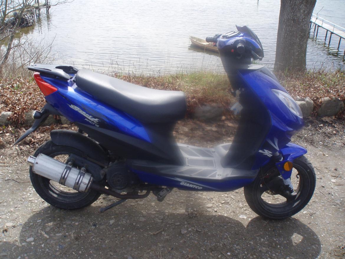 Giantco Stealth billede 6