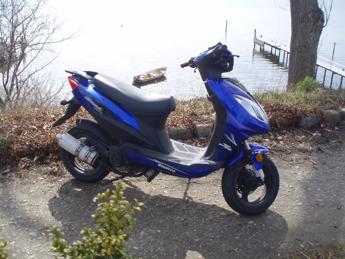 Giantco Stealth billede 2