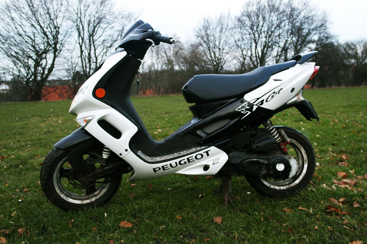 Peugeot Speedfight 2 R-Cup billede 2