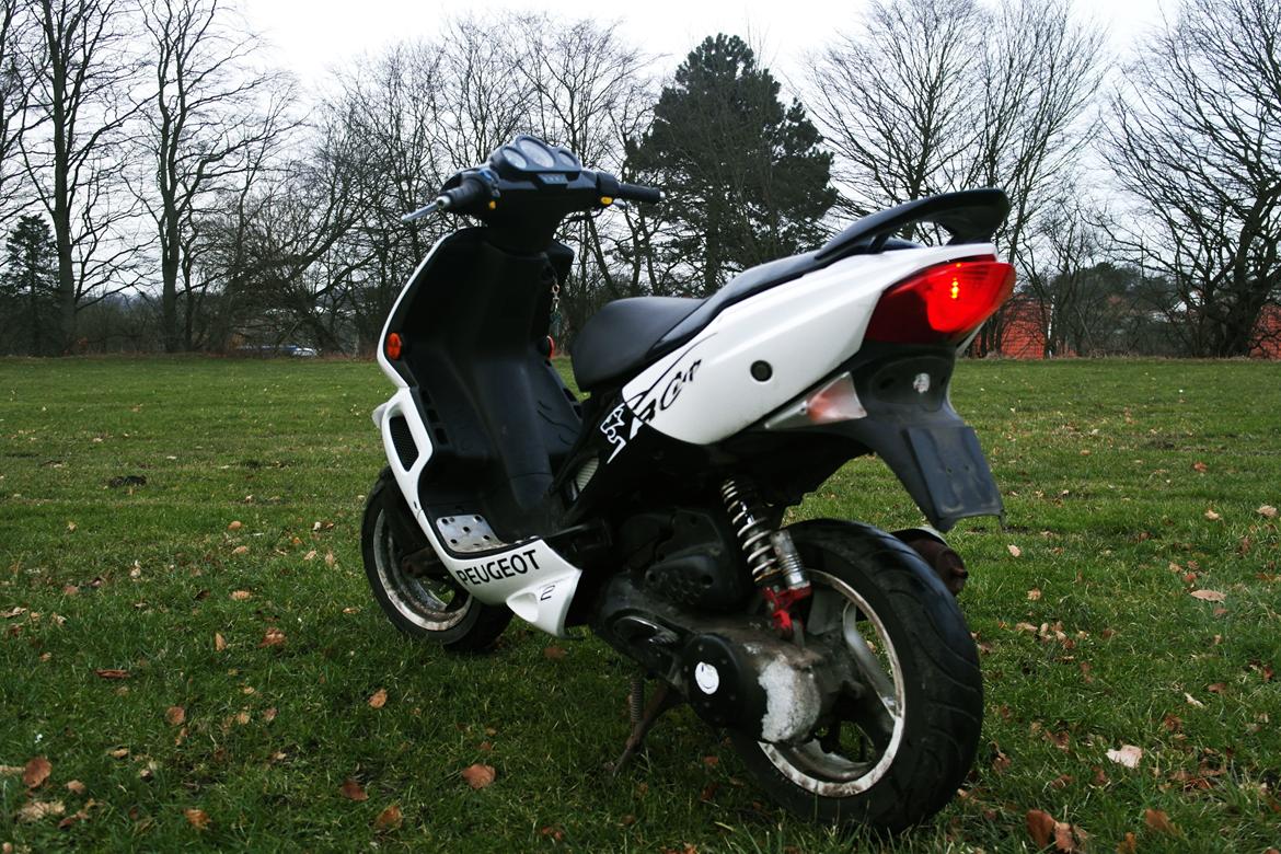 Peugeot Speedfight 2 R-Cup billede 3