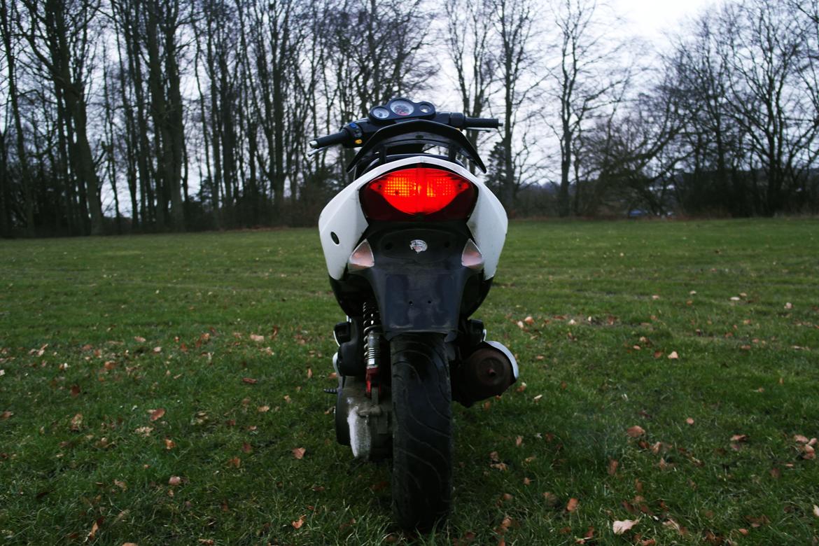 Peugeot Speedfight 2 R-Cup billede 4