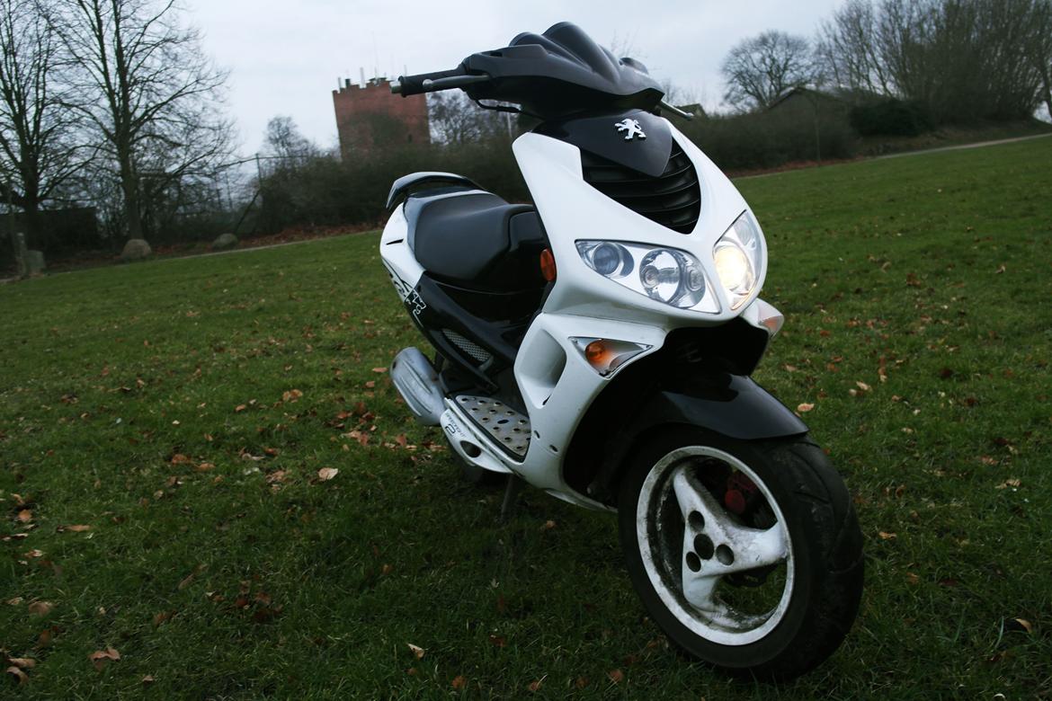 Peugeot Speedfight 2 R-Cup billede 7