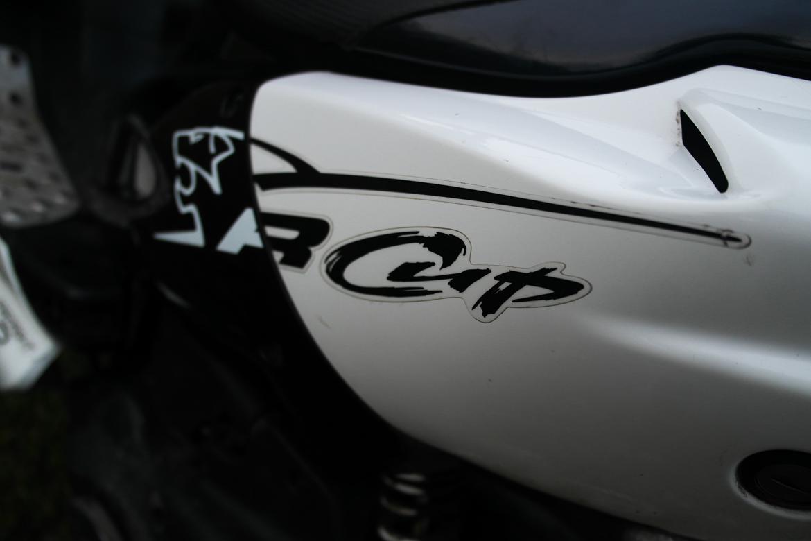 Peugeot Speedfight 2 R-Cup billede 10