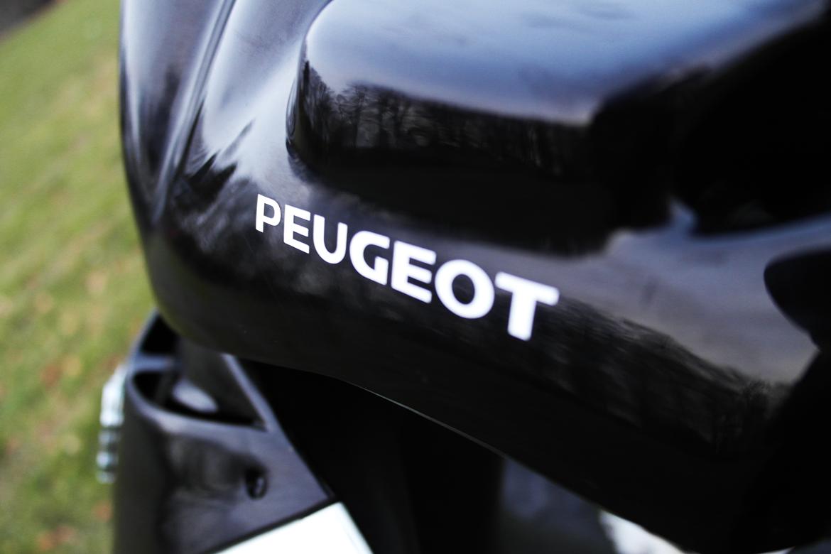 Peugeot Speedfight 2 R-Cup billede 12