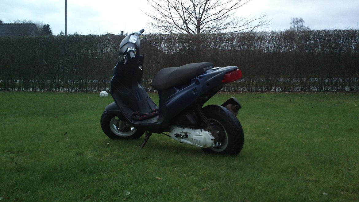 PGO Hot 50 billede 4