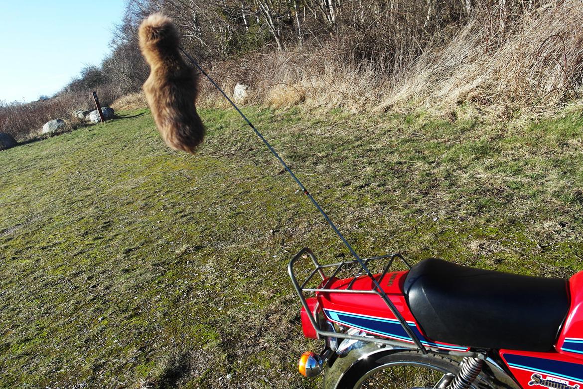 Suzuki DM50 - Samurai "Ræven" billede 9