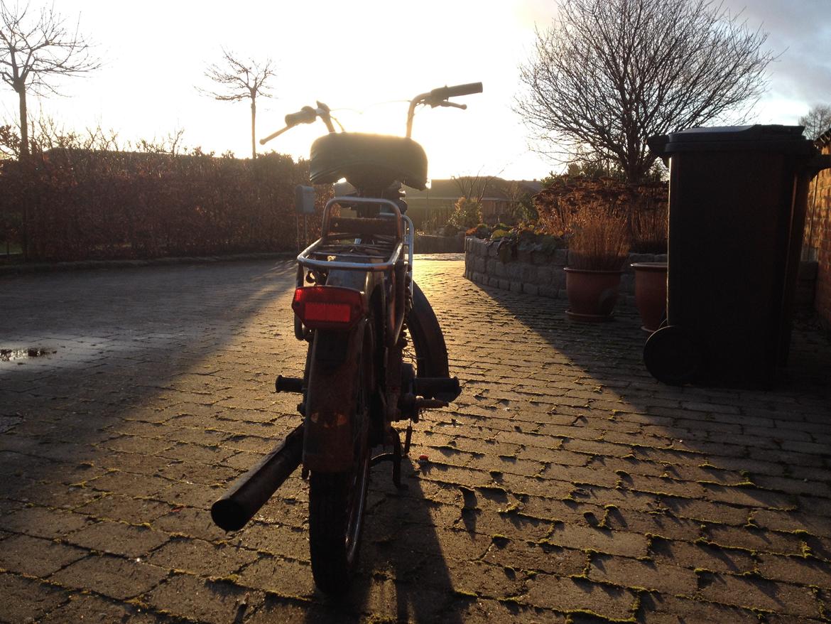 Puch Maxi KL billede 13