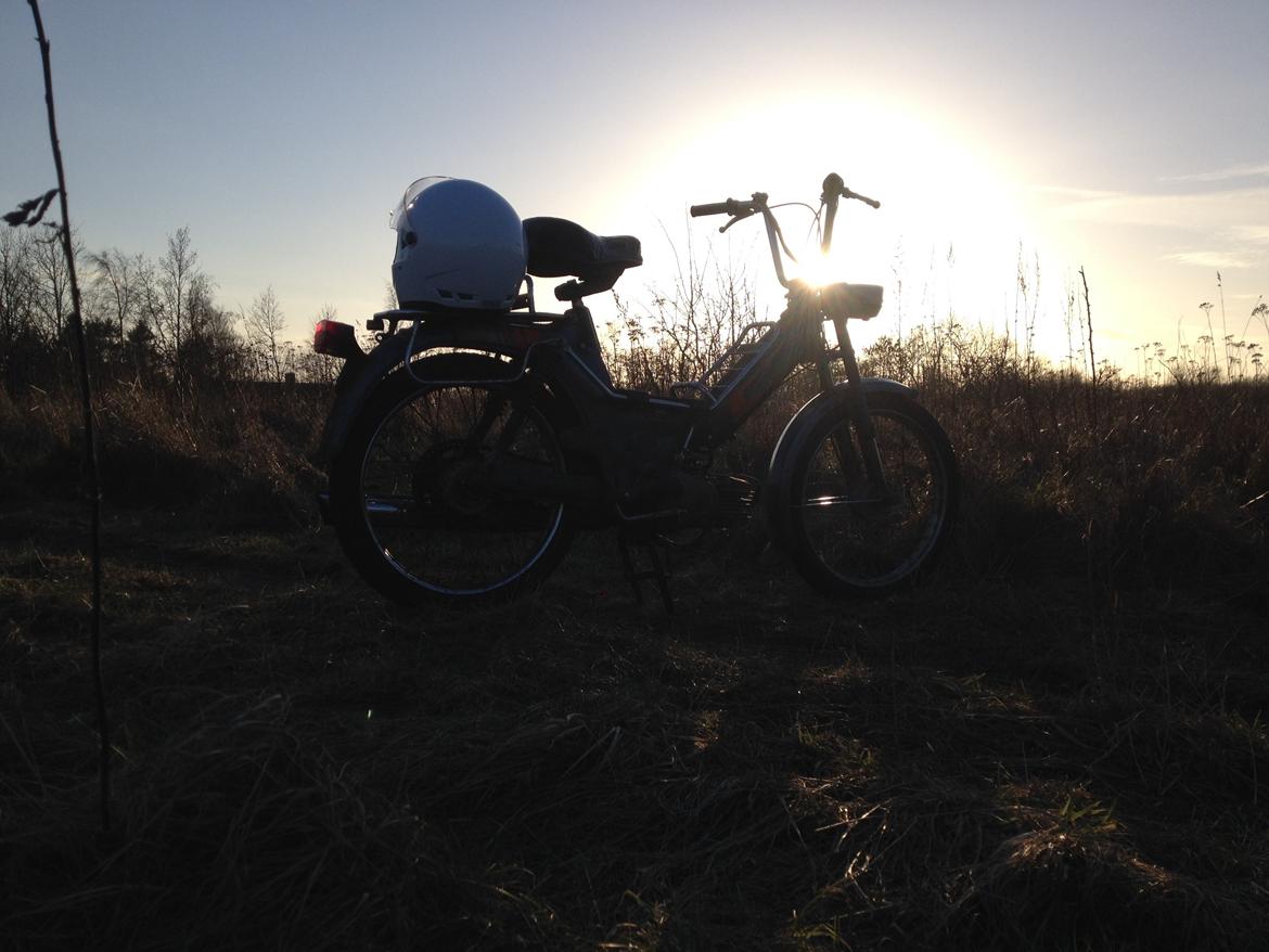 Puch Maxi KL billede 6