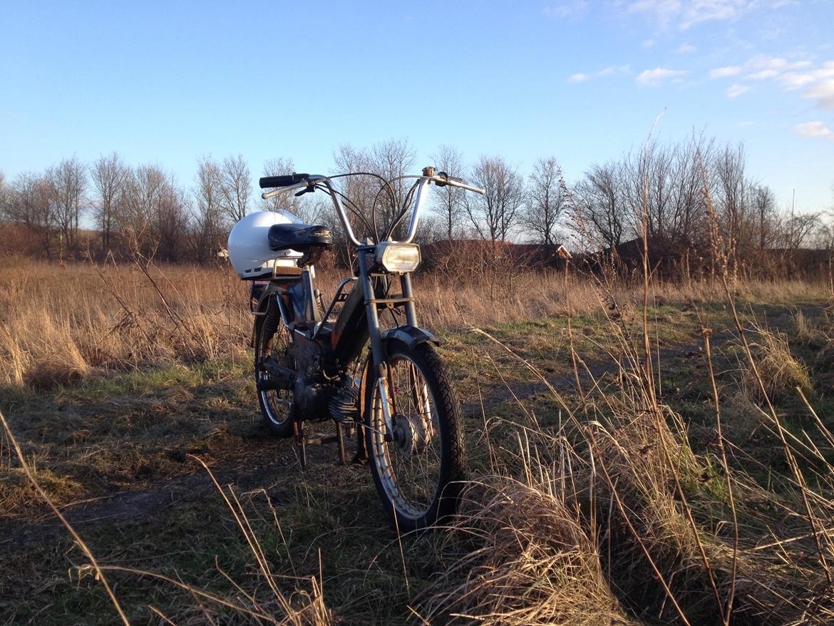 Puch Maxi KL billede 5