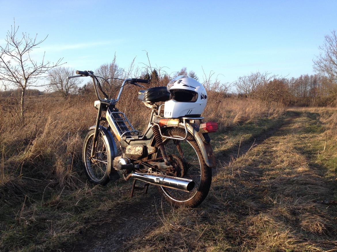 Puch Maxi KL billede 3